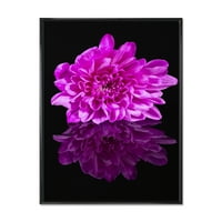 Designart 'Egyetlen lila krizantém virág a fekete reflexióban' Hagyományos keretes vászon fal art nyomtatás