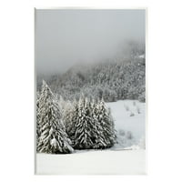 Stupell Industries téli snowscape erdei fák tájfotózás, keret nélküli művészeti nyomtatási fal művészet