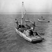 Halász gereblyézés, osztriga, képben látható, egy, halászhajó, Apalachicola öböl, Florida, USA poszter, nyomat