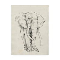 Védjegy képzőművészet 'elefánt portré Bold II' vászon művészet Jennifer Goldberger